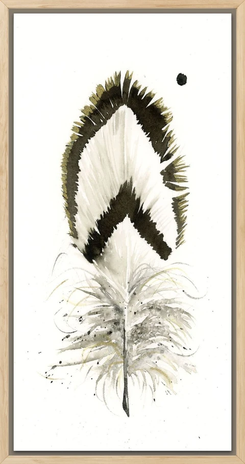 Image of a feather watercolor painting by Shayna Larsen, originals & prints available