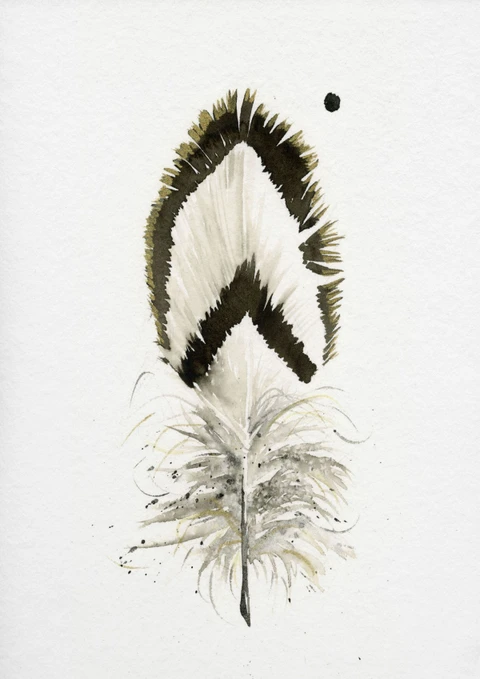Image of a feather watercolor painting by Shayna Larsen, originals & prints available