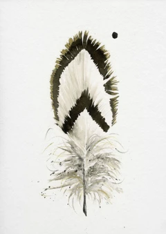 Image of a feather watercolor painting by Shayna Larsen, originals & prints available