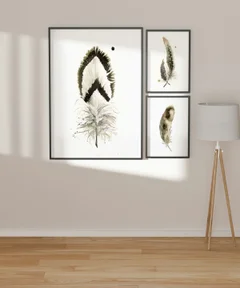 Image of a feather watercolor painting by Shayna Larsen, originals & prints available