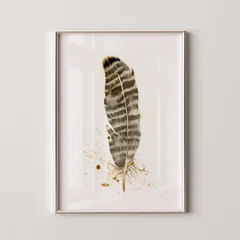 Image of a feather watercolor painting by Shayna Larsen, originals & prints available