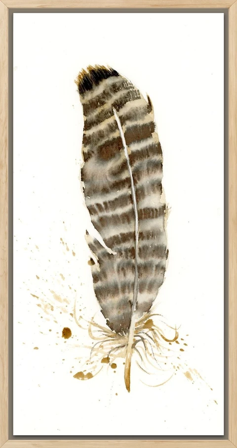 Image of a feather watercolor painting by Shayna Larsen, originals & prints available