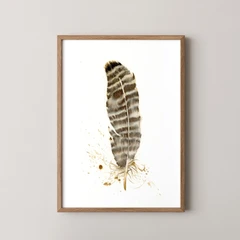 Image of a feather watercolor painting by Shayna Larsen, originals & prints available