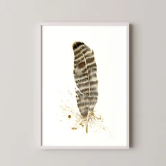 Image of a feather watercolor painting by Shayna Larsen, originals & prints available