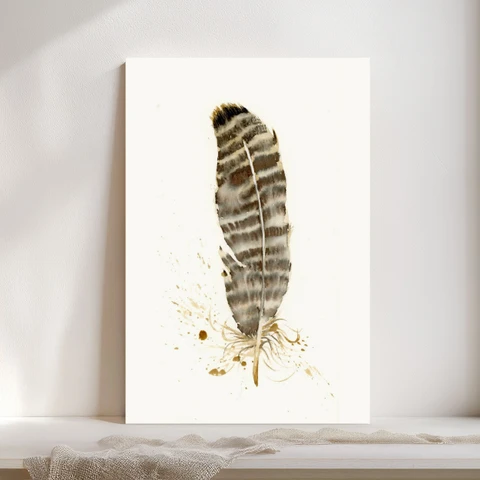Image of a feather watercolor painting by Shayna Larsen, originals & prints available