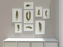 Image of a feather watercolor painting by Shayna Larsen, originals & prints available