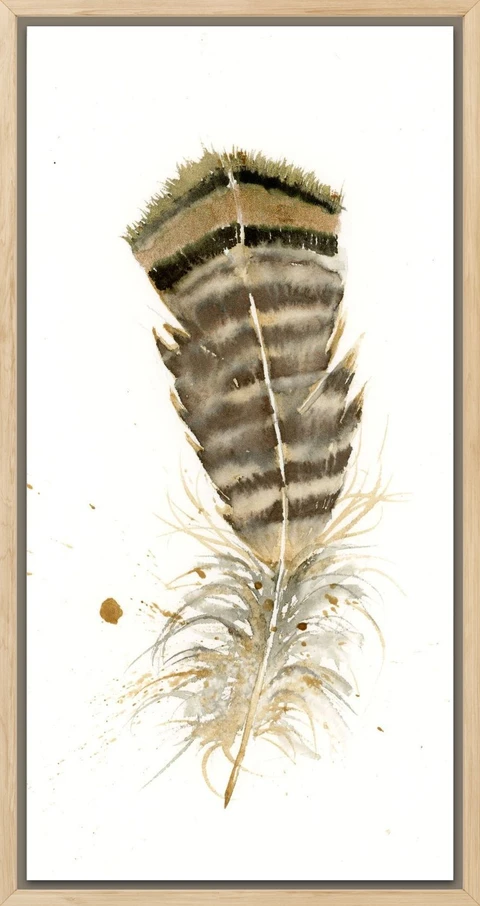Image of a feather watercolor painting by Shayna Larsen, originals & prints available