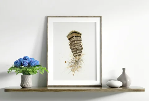 Image of a feather watercolor painting by Shayna Larsen, originals & prints available