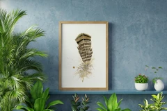 Image of a feather watercolor painting by Shayna Larsen, originals & prints available