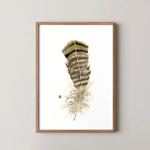 Image of a feather watercolor painting by Shayna Larsen, originals & prints available