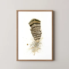 Image of a feather watercolor painting by Shayna Larsen, originals & prints available