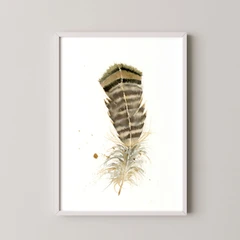 Image of a feather watercolor painting by Shayna Larsen, originals & prints available