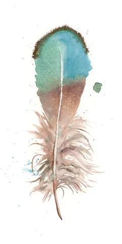 Image of a feather watercolor painting by Shayna Larsen, originals & prints available
