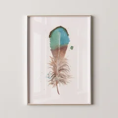 Image of a feather watercolor painting by Shayna Larsen, originals & prints available