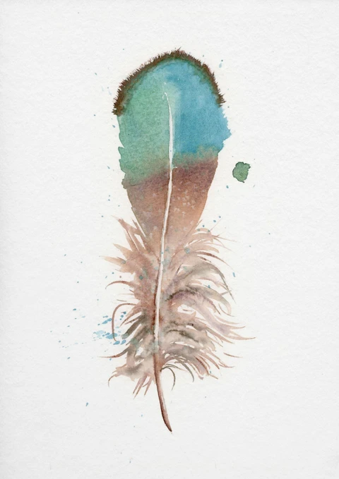Image of a feather watercolor painting by Shayna Larsen, originals & prints available