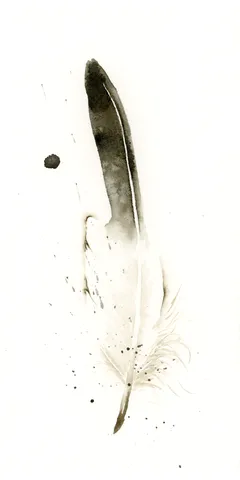 Image of a feather watercolor painting by Shayna Larsen, originals & prints available