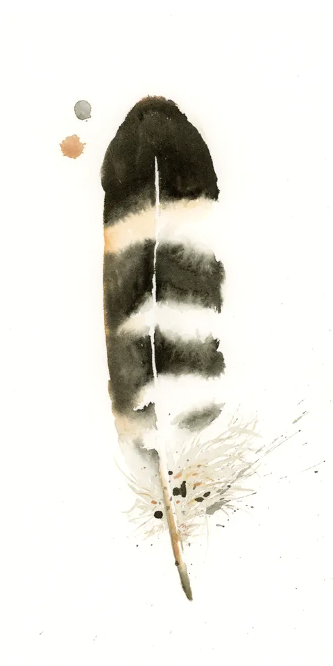 Image of a feather watercolor painting by Shayna Larsen, originals & prints available