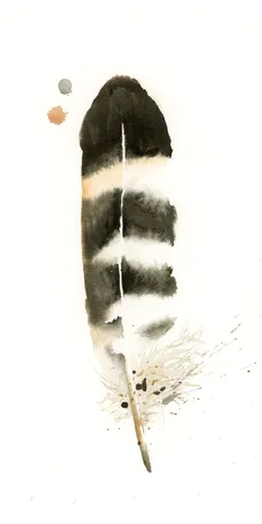 Image of a feather watercolor painting by Shayna Larsen, originals & prints available
