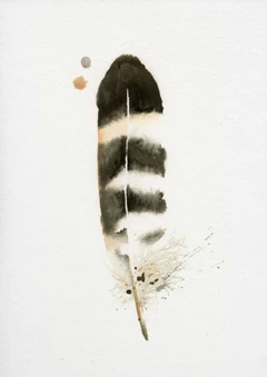 Image of a feather watercolor painting by Shayna Larsen, originals & prints available