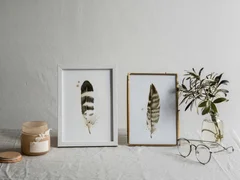 Image of a feather watercolor painting by Shayna Larsen, originals & prints available