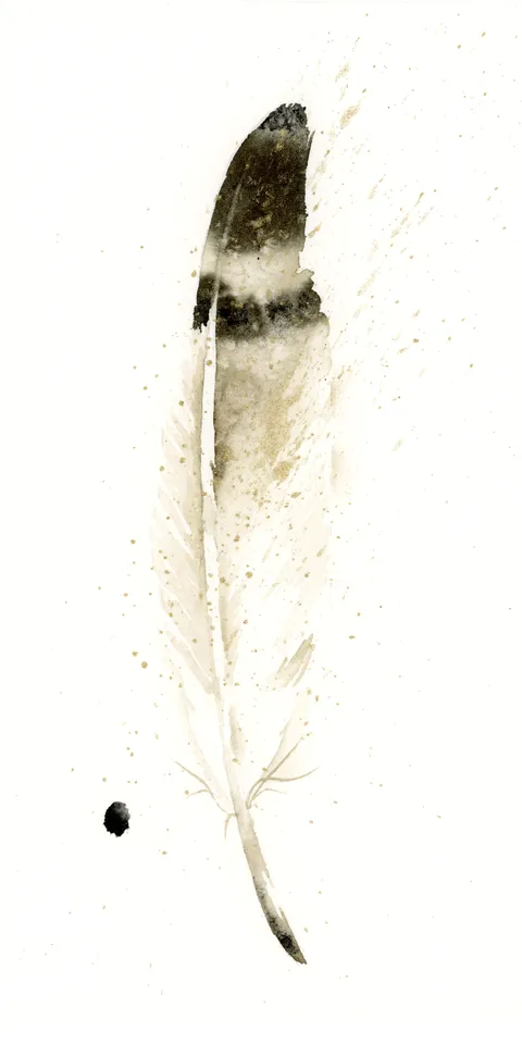 Image of a feather watercolor painting by Shayna Larsen, originals & prints available