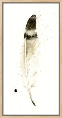 Image of a feather watercolor painting by Shayna Larsen, originals & prints available