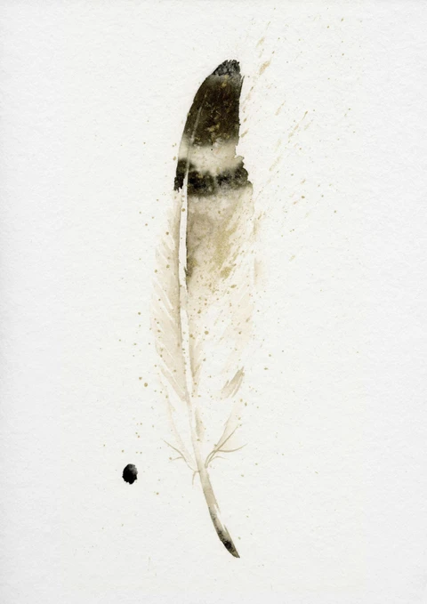 Image of a feather watercolor painting by Shayna Larsen, originals & prints available