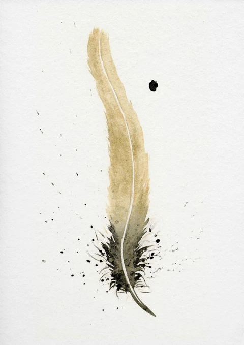 Image of a feather watercolor painting by Shayna Larsen, originals & prints available