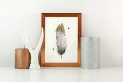 Image of a feather watercolor painting by Shayna Larsen, originals & prints available