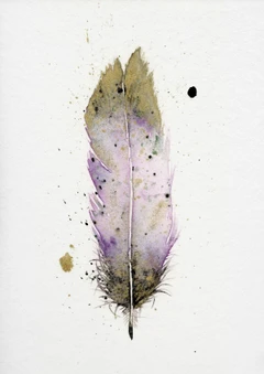 Image of a feather watercolor painting by Shayna Larsen, originals & prints available