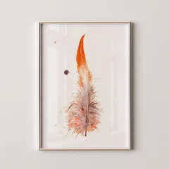Image of a feather watercolor painting by Shayna Larsen, originals & prints available