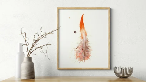 Image of a feather watercolor painting by Shayna Larsen, originals & prints available