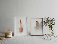 Image of a feather watercolor painting by Shayna Larsen, originals & prints available