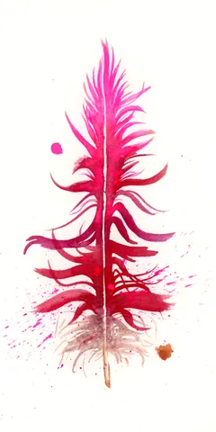 Image of a feather watercolor painting by Shayna Larsen, originals & prints available