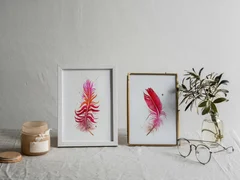 Image of a feather watercolor painting by Shayna Larsen, originals & prints available