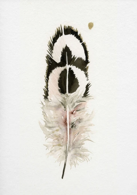 Image of a feather watercolor painting by Shayna Larsen, originals & prints available