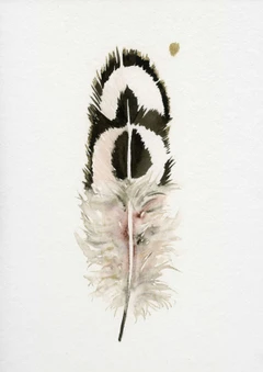 Image of a feather watercolor painting by Shayna Larsen, originals & prints available