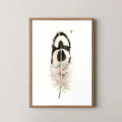 Image of a feather watercolor painting by Shayna Larsen, originals & prints available