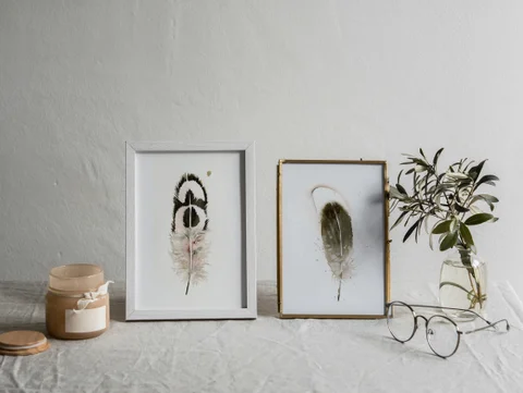 Image of a feather watercolor painting by Shayna Larsen, originals & prints available