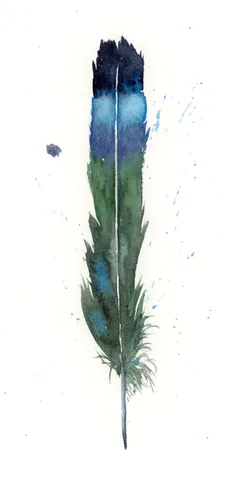 Image of a feather watercolor painting by Shayna Larsen, originals & prints available