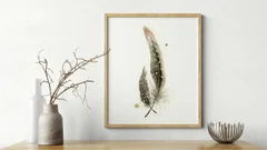 Image of a feather watercolor painting by Shayna Larsen, originals & prints available