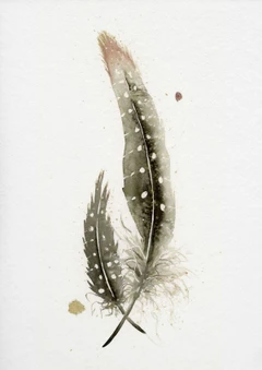 Image of a feather watercolor painting by Shayna Larsen, originals & prints available