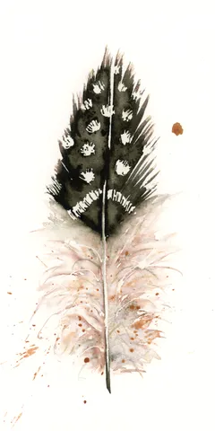 Image of a feather watercolor painting by Shayna Larsen, originals & prints available