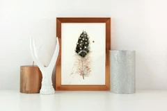 Image of a feather watercolor painting by Shayna Larsen, originals & prints available