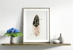 Image of a feather watercolor painting by Shayna Larsen, originals & prints available