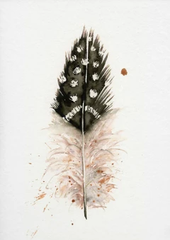 Image of a feather watercolor painting by Shayna Larsen, originals & prints available