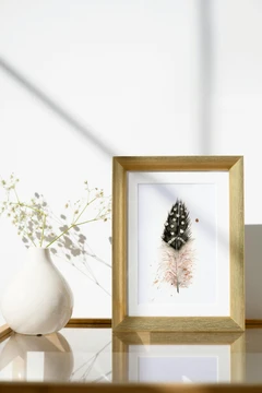 Image of a feather watercolor painting by Shayna Larsen, originals & prints available