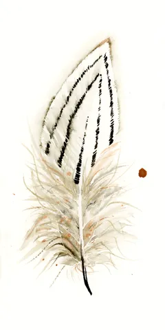 Image of a feather watercolor painting by Shayna Larsen, originals & prints available