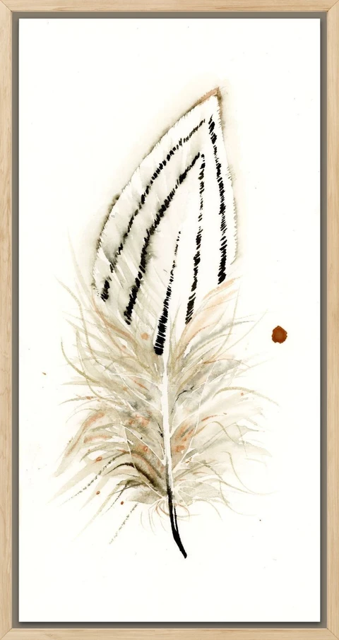 Image of a feather watercolor painting by Shayna Larsen, originals & prints available
