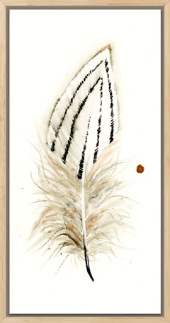 Image of a feather watercolor painting by Shayna Larsen, originals & prints available